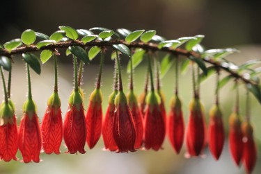 广州白云区1私人快速借钱网，轻松解决资金难题