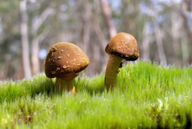 广州白云区1私人老板放款：轻松融资的秘密通道